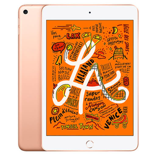 iPad mini 5 256 Go Wifi + 4G Or (2019)