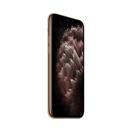 iPhone 11 Pro Max 256GB Gold - New battery - Refurbished product | Allo  Allo (United States)