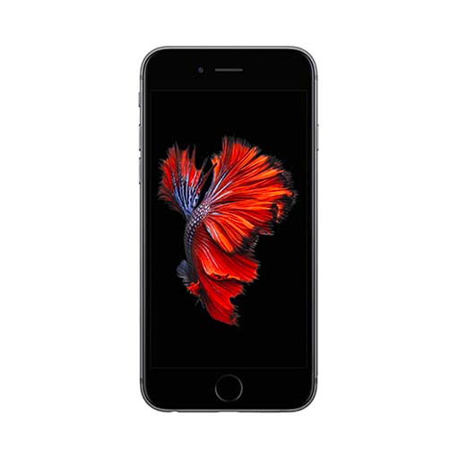 iPhone 7/7 Plus, iPhone SE và iPhone 6S/6S Plus đồng loạt giảm giá